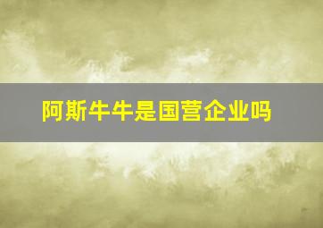 阿斯牛牛是国营企业吗