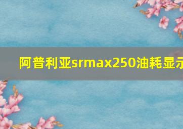 阿普利亚srmax250油耗显示