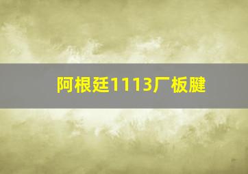 阿根廷1113厂板腱