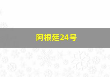 阿根廷24号