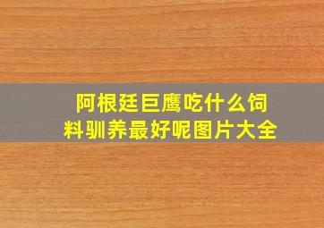 阿根廷巨鹰吃什么饲料驯养最好呢图片大全