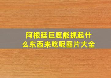 阿根廷巨鹰能抓起什么东西来吃呢图片大全