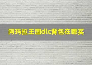 阿玛拉王国dlc背包在哪买