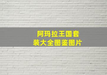 阿玛拉王国套装大全图鉴图片