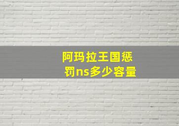 阿玛拉王国惩罚ns多少容量