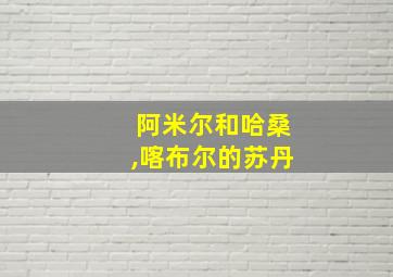 阿米尔和哈桑,喀布尔的苏丹