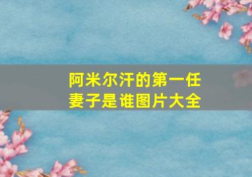 阿米尔汗的第一任妻子是谁图片大全