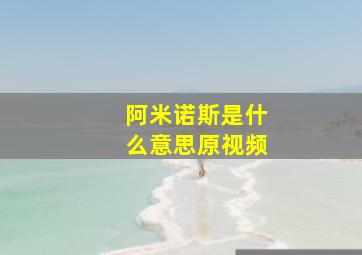 阿米诺斯是什么意思原视频