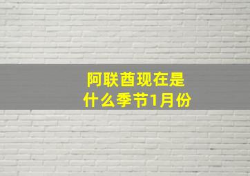 阿联酋现在是什么季节1月份