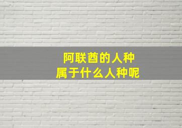 阿联酋的人种属于什么人种呢