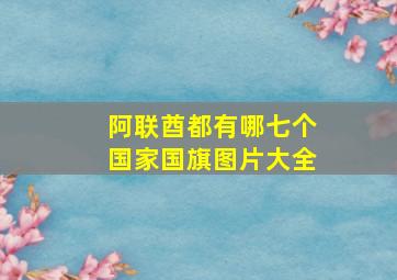 阿联酋都有哪七个国家国旗图片大全