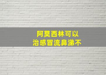 阿莫西林可以治感冒流鼻涕不