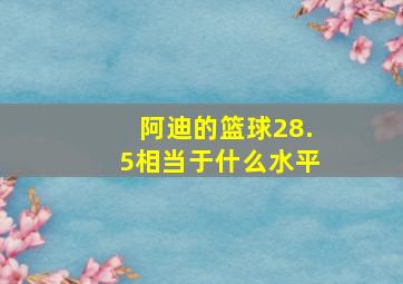 阿迪的篮球28.5相当于什么水平