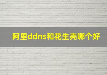 阿里ddns和花生壳哪个好