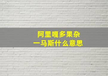 阿里嘎多果杂一马斯什么意思