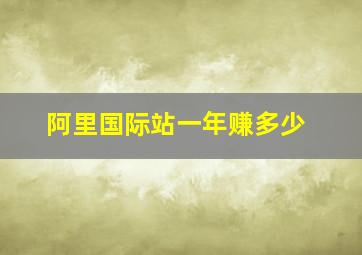 阿里国际站一年赚多少