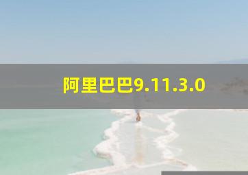 阿里巴巴9.11.3.0