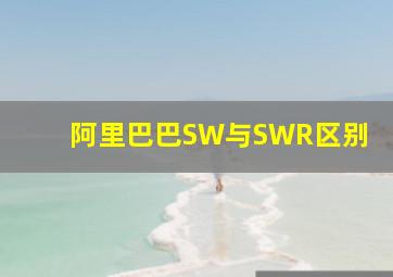 阿里巴巴SW与SWR区别