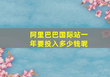 阿里巴巴国际站一年要投入多少钱呢