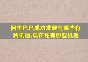 阿里巴巴成功发展有哪些有利机遇,现在还有哪些机遇