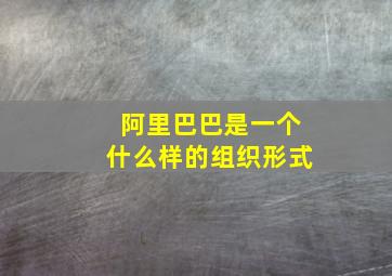 阿里巴巴是一个什么样的组织形式