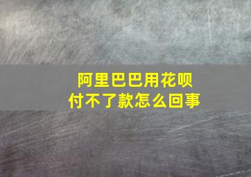 阿里巴巴用花呗付不了款怎么回事