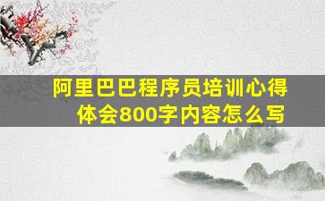 阿里巴巴程序员培训心得体会800字内容怎么写