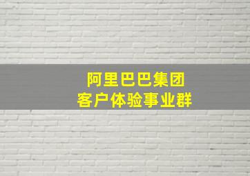 阿里巴巴集团客户体验事业群