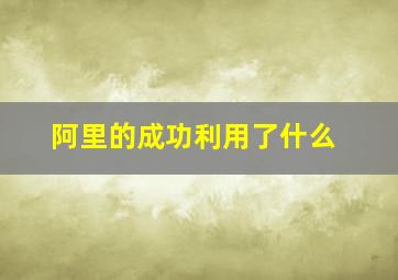 阿里的成功利用了什么