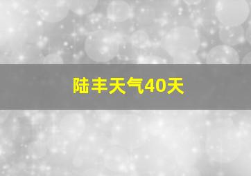 陆丰天气40天