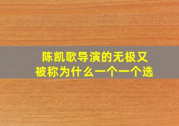 陈凯歌导演的无极又被称为什么一个一个选