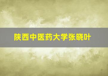 陕西中医药大学张晓叶