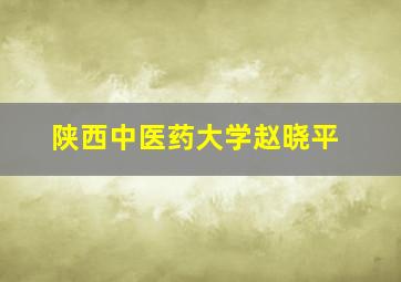 陕西中医药大学赵晓平