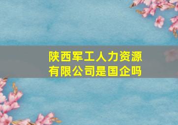 陕西军工人力资源有限公司是国企吗