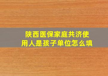 陕西医保家庭共济使用人是孩子单位怎么填