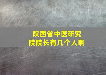 陕西省中医研究院院长有几个人啊