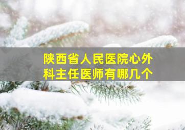 陕西省人民医院心外科主任医师有哪几个