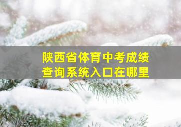 陕西省体育中考成绩查询系统入口在哪里