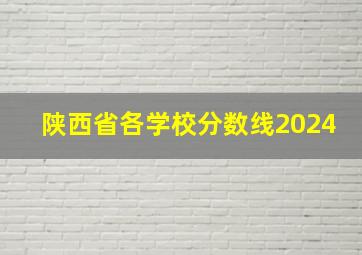 陕西省各学校分数线2024