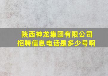 陕西神龙集团有限公司招聘信息电话是多少号啊