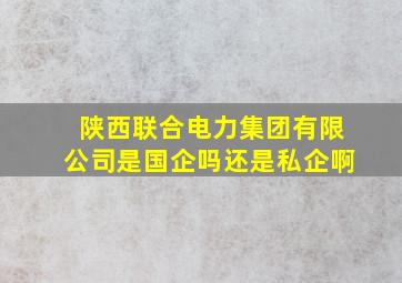 陕西联合电力集团有限公司是国企吗还是私企啊