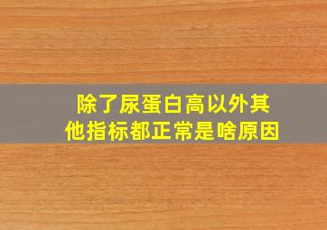 除了尿蛋白高以外其他指标都正常是啥原因