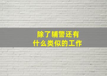 除了辅警还有什么类似的工作