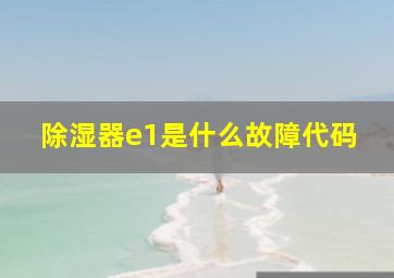 除湿器e1是什么故障代码