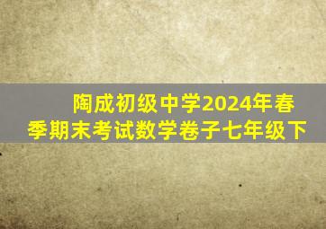 陶成初级中学2024年春季期末考试数学卷子七年级下