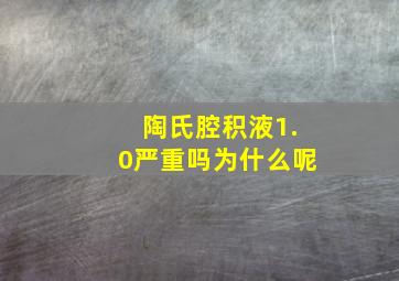 陶氏腔积液1.0严重吗为什么呢