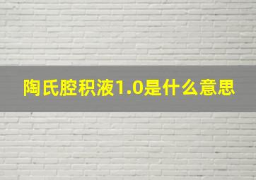 陶氏腔积液1.0是什么意思