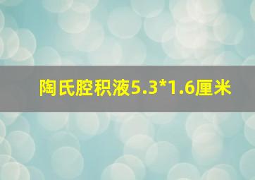 陶氏腔积液5.3*1.6厘米