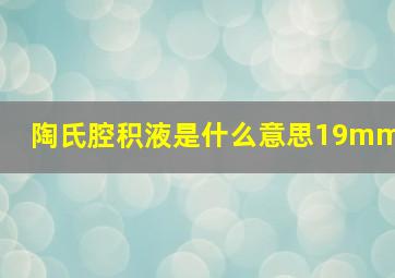 陶氏腔积液是什么意思19mm