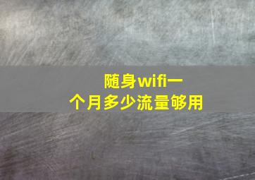 随身wifi一个月多少流量够用